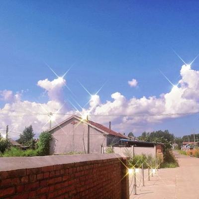 仙侠风云变态版bt下载